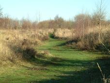 gorzen_227x170_008.jpg