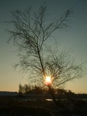 gorzen_170x227_036.jpg