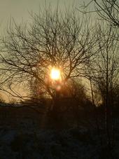 gorzen_170x227_044.jpg