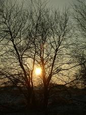 gorzen_170x227_046.jpg