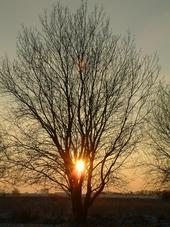 gorzen_170x227_052.jpg