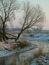 gorzen_170x227_058.jpg