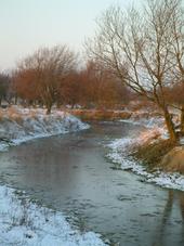 gorzen_170x227_060.jpg