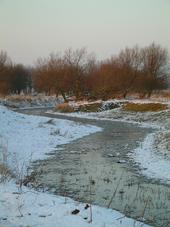 gorzen_170x227_062.jpg