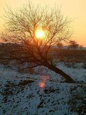 gorzen_170x227_063.jpg