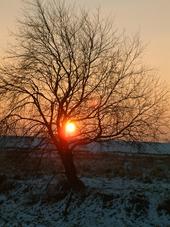 gorzen_170x227_066.jpg