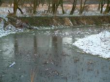 gorzen_227x170_056.jpg