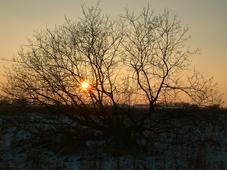gorzen_227x170_059.jpg