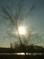 gorzen_170x227_001.jpg