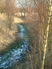 gorzen_170x227_003.jpg