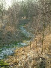 gorzen_170x227_006.jpg