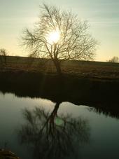 gorzen_170x227_017.jpg