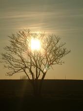 gorzen_170x227_018.jpg