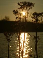 gorzen_170x227_024.jpg