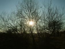gorzen_227x170_004.jpg