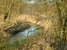gorzen_227x170_005.jpg