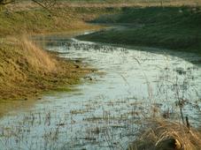 gorzen_227x170_008.jpg