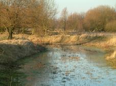 gorzen_227x170_009.jpg