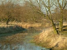 gorzen_227x170_011.jpg