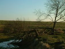 gorzen_227x170_015.jpg