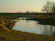 gorzen_227x170_016.jpg