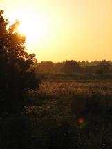 gorzen_162x216_030.jpg