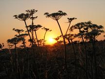 gorzen_216x162_038.jpg