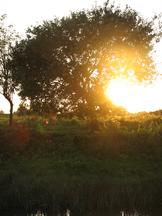 gorzen_162x216_015.jpg