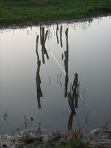 gorzen_162x216_019.jpg