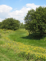 gorzen_162x216_001.jpg