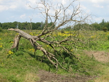 gorzen_216x162_002.jpg