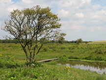 gorzen_216x162_005.jpg