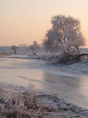 gorzen_182x243_0143.jpg