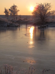 gorzen_182x243_0153.jpg