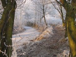 gorzen_243x182_0094.jpg