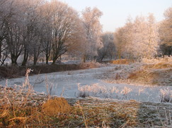 gorzen_243x182_0127.jpg