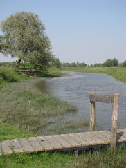 gorzen_182x243_0114.jpg