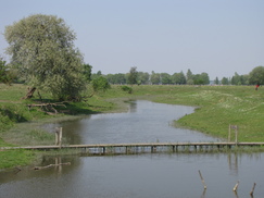 gorzen_243x182_0107.jpg