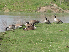 gorzen_243x182_0126.jpg