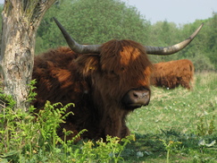 gorzen_243x182_0142.jpg