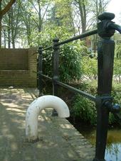 gouda_170x227_001.jpg