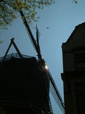 gouda_170x227_003.jpg