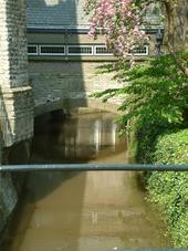 gouda_170x227_033.jpg