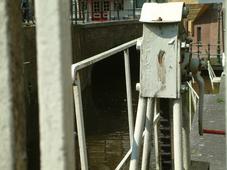 gouda_227x170_007.jpg