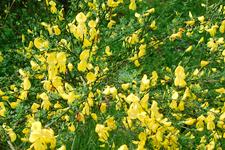 heemtuin_225x150_003.jpg