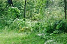 heemtuin_225x150_004.jpg
