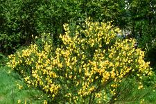 heemtuin_225x150_005.jpg