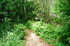 heemtuin_225x150_007.jpg