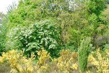 heemtuin_225x150_011.jpg