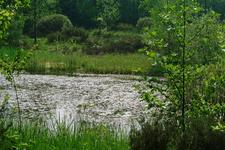 heemtuin_225x150_014.jpg